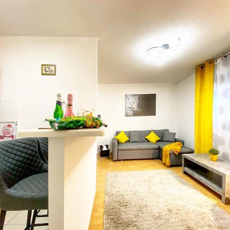 Centre Ville Au Calme , Parking Prive Interieur Car Et Bike Saverne Kültér fotó