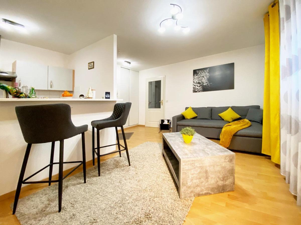 Centre Ville Au Calme , Parking Prive Interieur Car Et Bike Saverne Kültér fotó